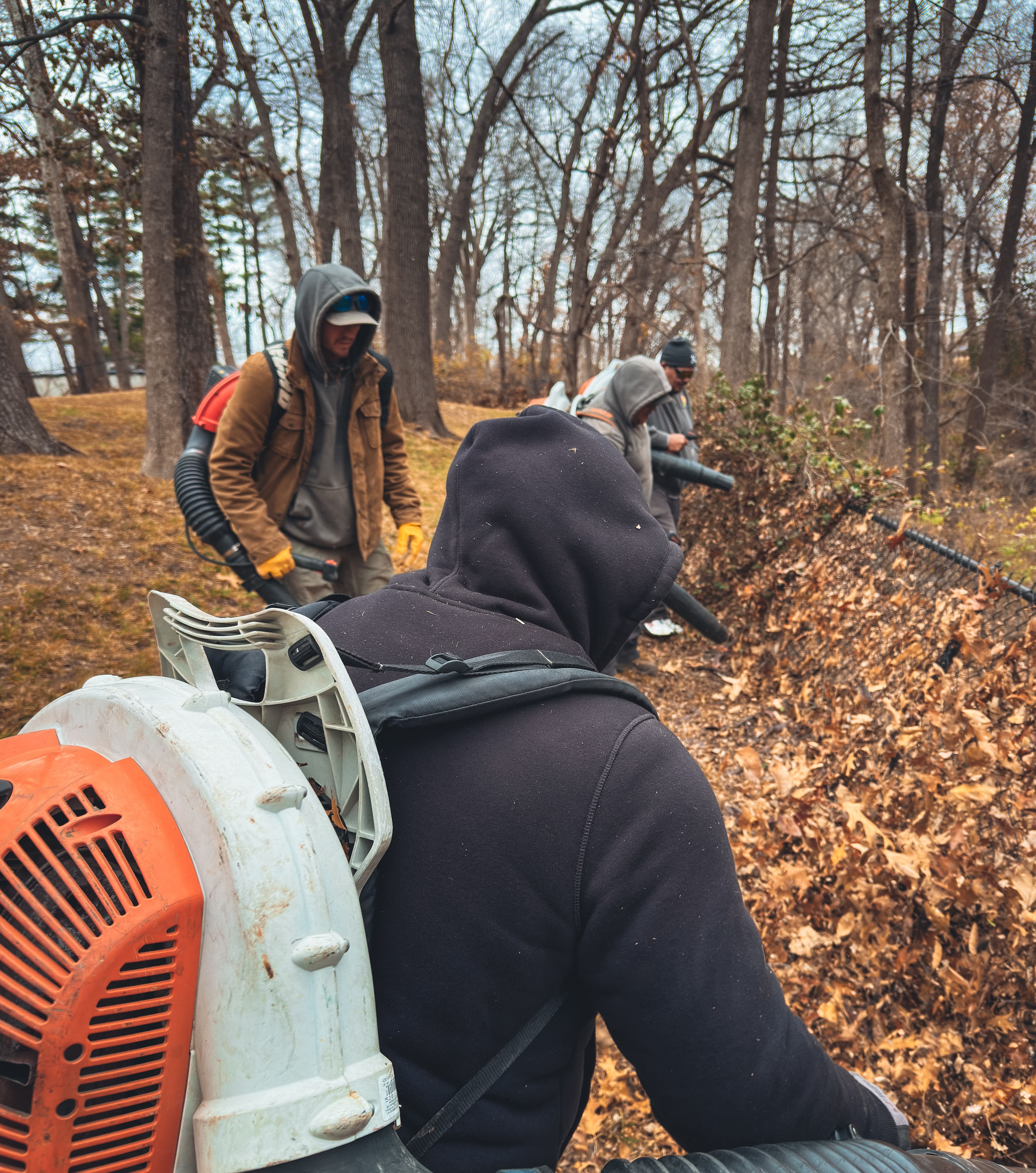 Project Efficient Leaf Removal and Landscaping in Liberty MO image