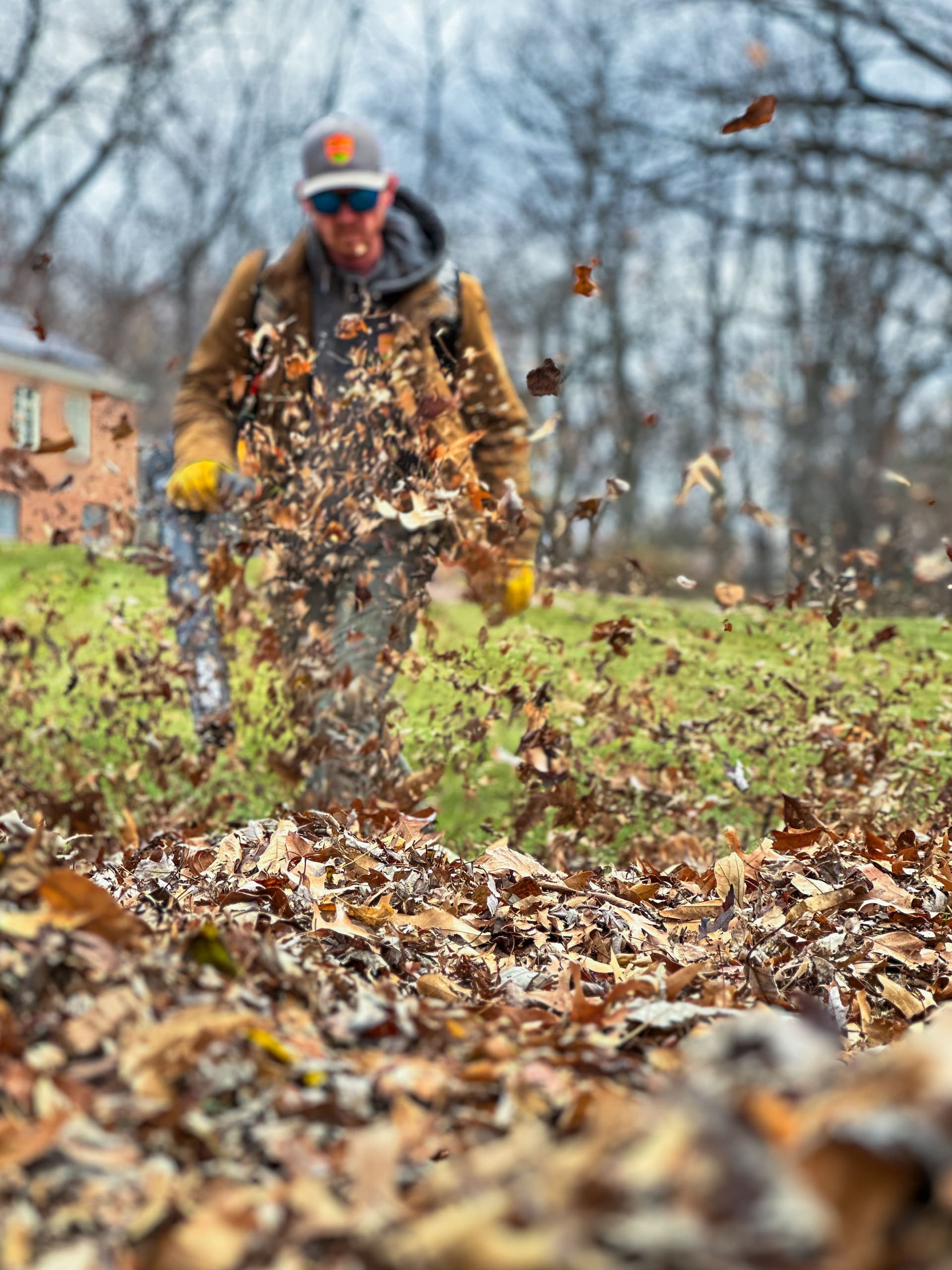 Efficient Leaf Removal and Landscaping in Liberty MO
