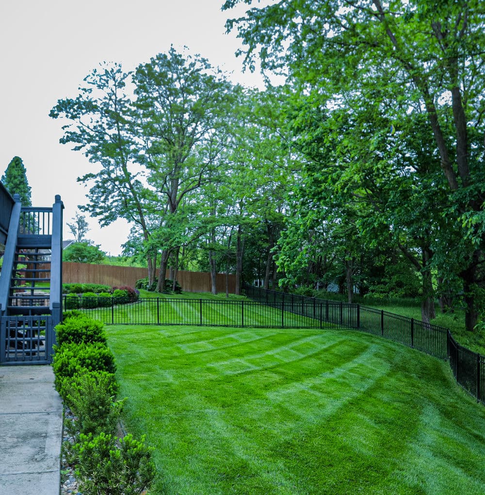 Gallery photos for Stunning Lawn Transformations in Kansas City: Image #29