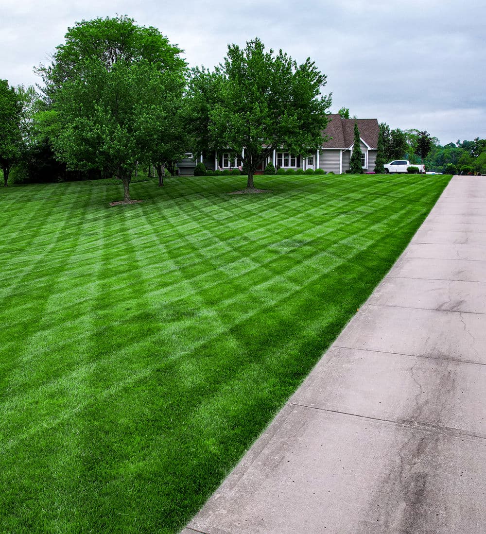 Gallery photos for Stunning Lawn Transformations in Kansas City: Image #28