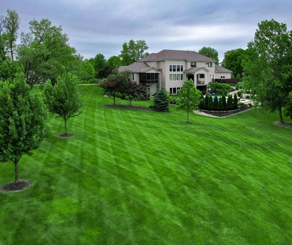 Gallery photos for Stunning Lawn Transformations in Kansas City: Image #27