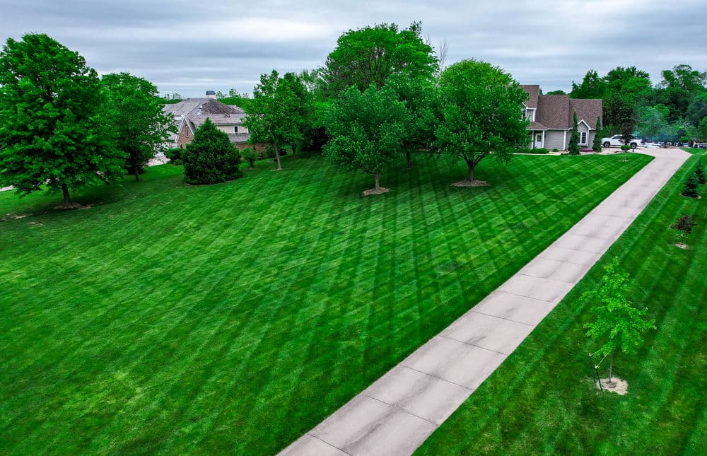 Gallery photos for Stunning Lawn Transformations in Kansas City: Image #22