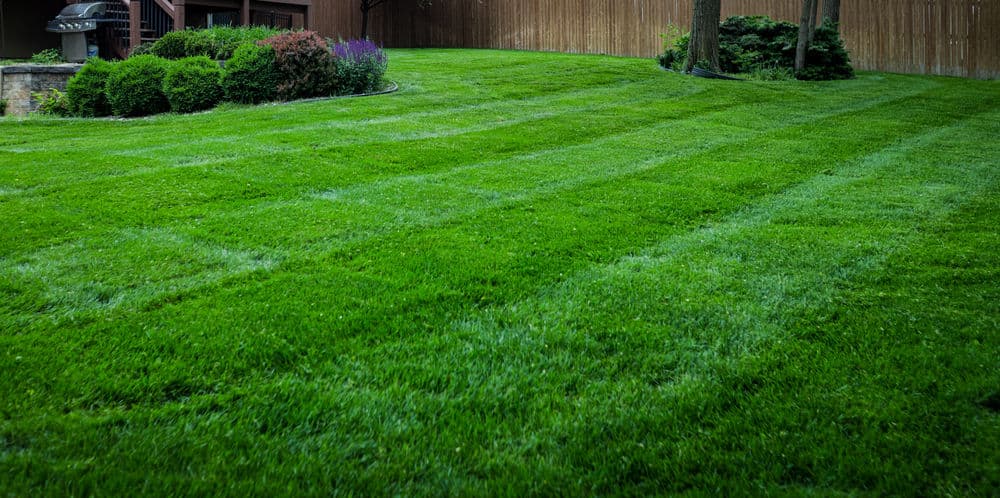 Gallery photos for Stunning Lawn Transformations in Kansas City: Image #21