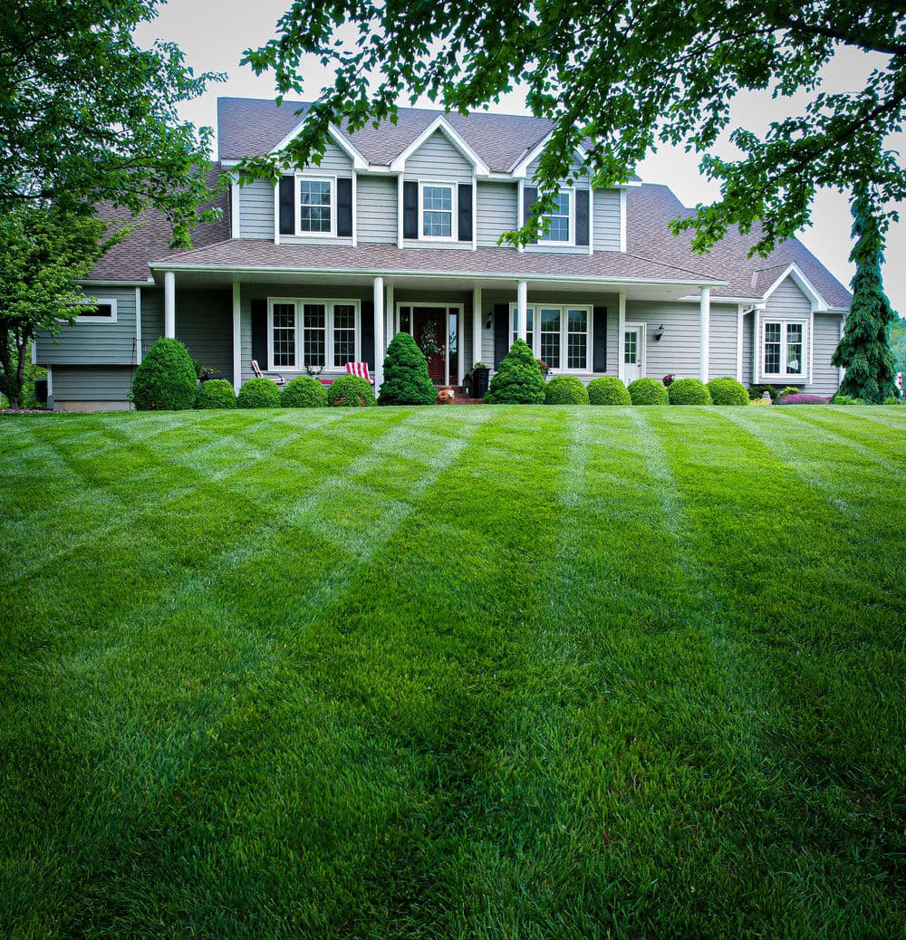 Gallery photos for Stunning Lawn Transformations in Kansas City: Image #18