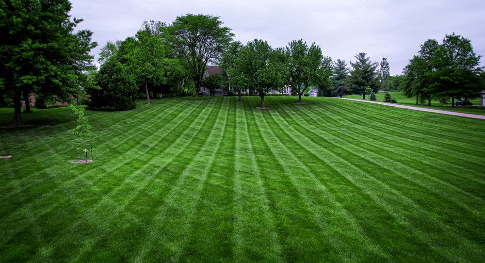 Gallery photos for Stunning Lawn Transformations in Kansas City: Image #16