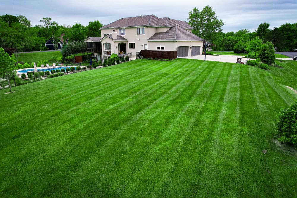 Gallery photos for Stunning Lawn Transformations in Kansas City: Image #12