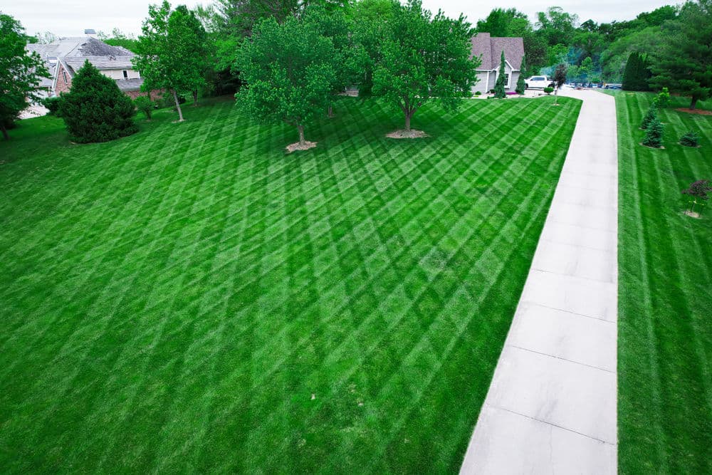 Gallery photos for Stunning Lawn Transformations in Kansas City: Image #10