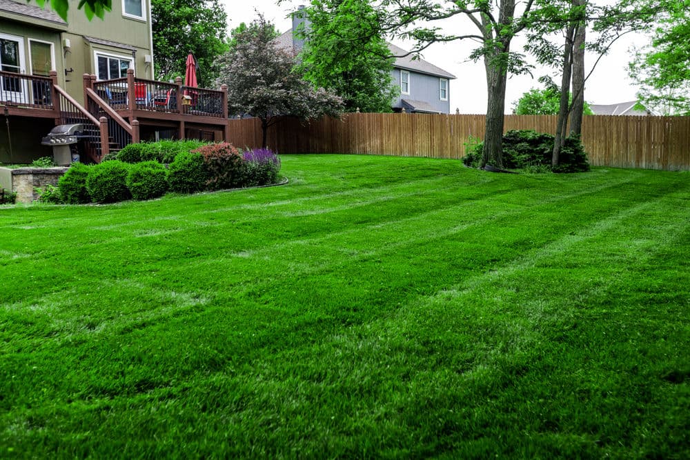 Gallery photos for Stunning Lawn Transformations in Kansas City: Image #11