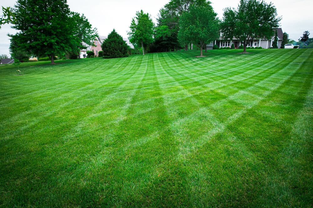 Gallery photos for Stunning Lawn Transformations in Kansas City: Image #7