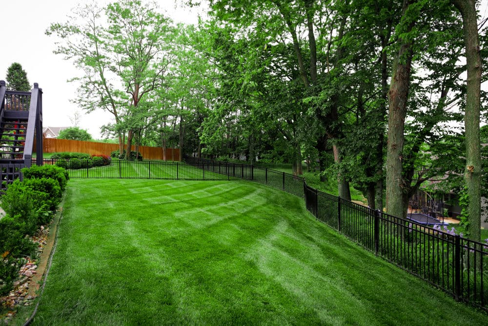 Gallery photos for Stunning Lawn Transformations in Kansas City: Image #5