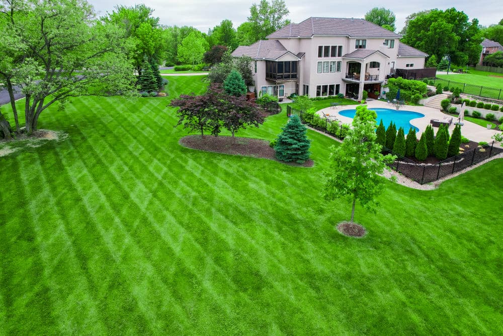 Gallery photos for Stunning Lawn Transformations in Kansas City: Image #4