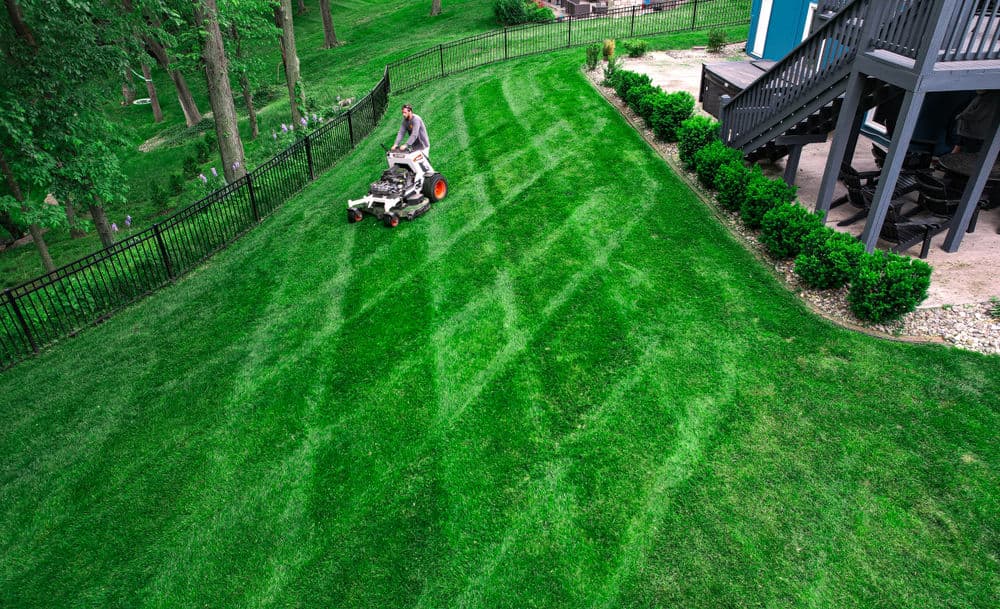 Gallery photos for Stunning Lawn Transformations in Kansas City: Image #2
