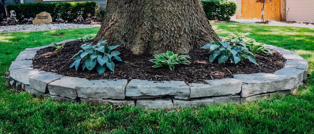 Gallery photos for Transforming Outdoor Spaces in Mission KS: Image #28