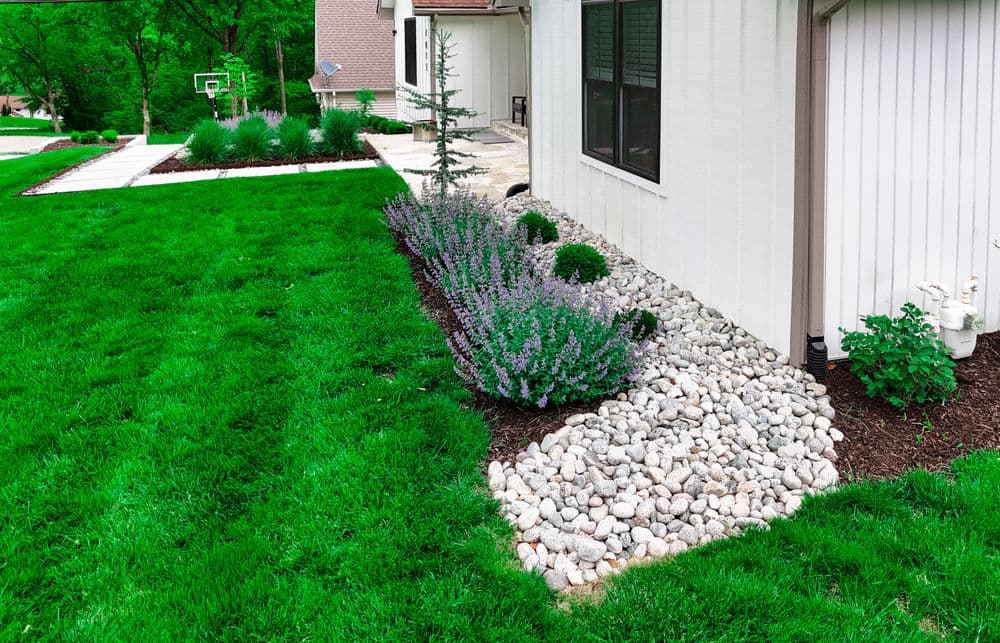 Landscaped garden featuring green grass, stone border, and purple flowering plants.
