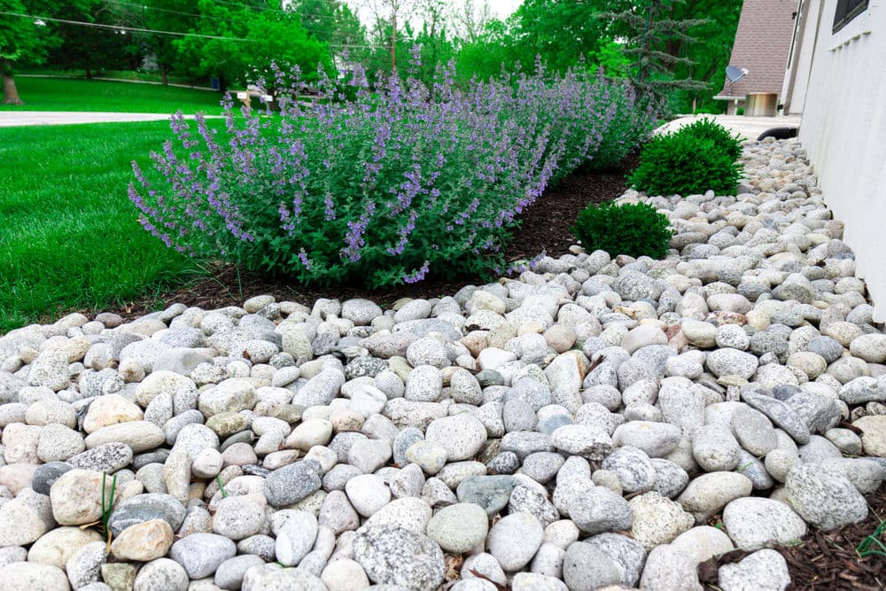Lush garden featuring a rock landscaping border with purple flowers and green bushes.