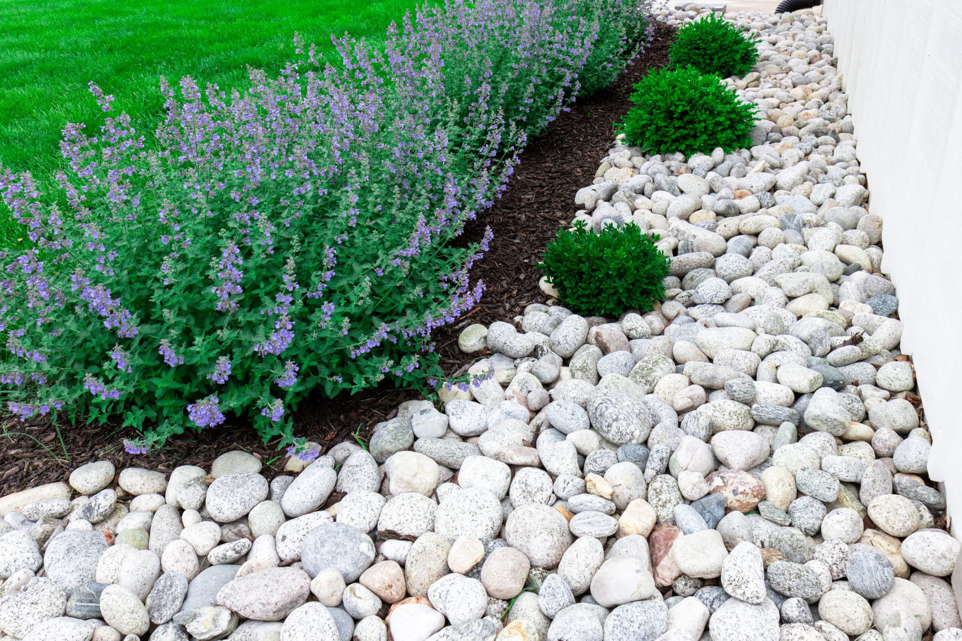 Gallery photos for Beautiful Backyard Makeover and Precision Lawn Care in Kansas City: Image #32